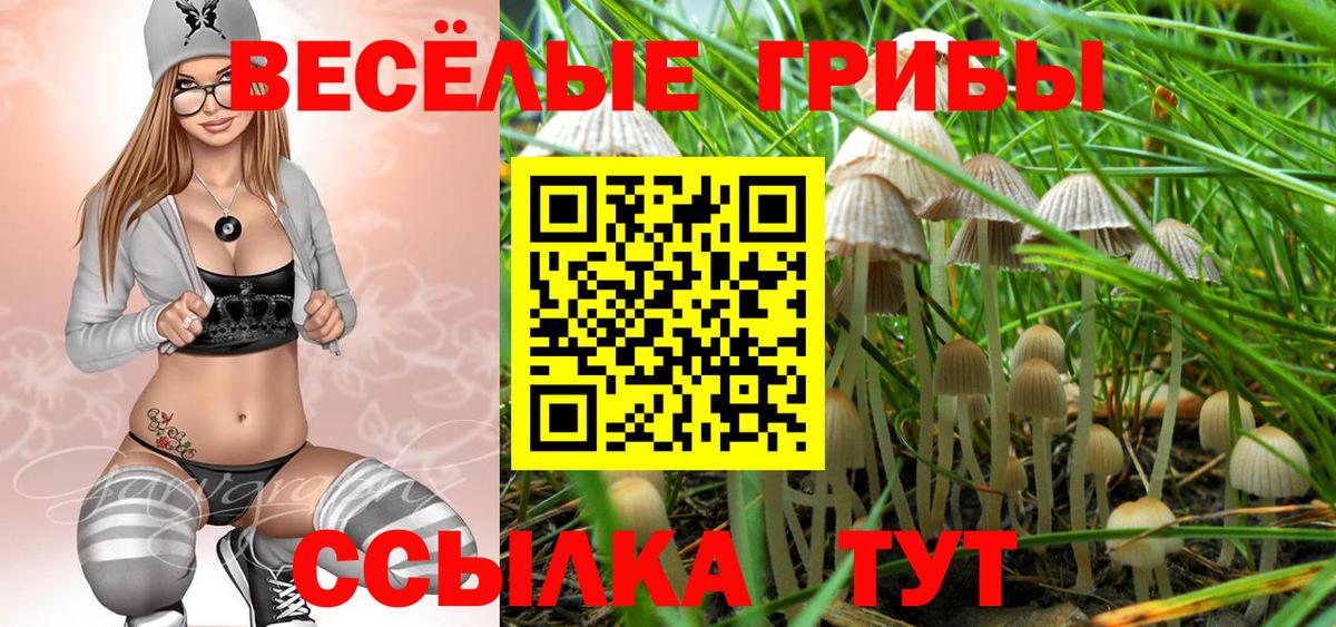 Галлюциногенные грибы Psilocybine cubensis Жигулёвск